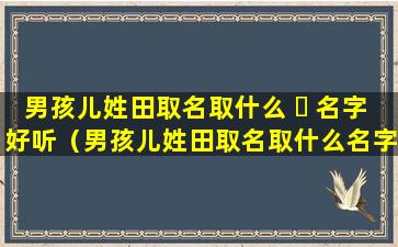 男孩儿姓田取名取什么 ☘ 名字好听（男孩儿姓田取名取什么名字好听一点）